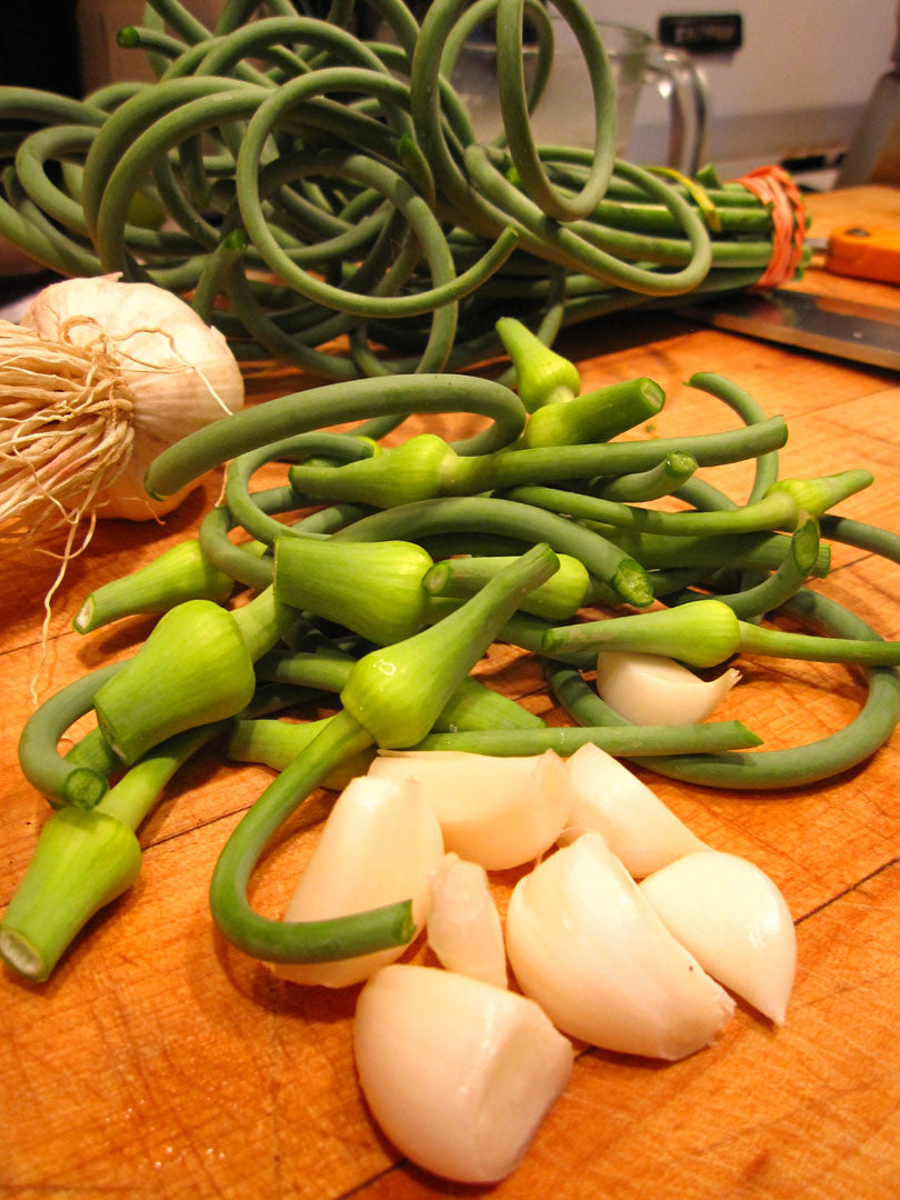 Green garlic and scapes risotto – Red Lion Organic Farms