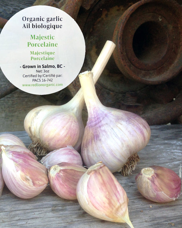 Majestic | Porcelain | Organic Seed Garlic