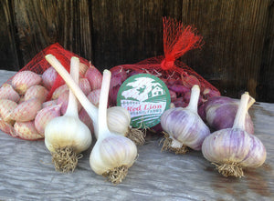 Freezing Garlic to preserve it for a longer time