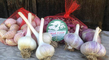 Freezing Garlic to preserve it for a longer time