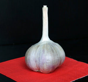 Roasting Garlic
