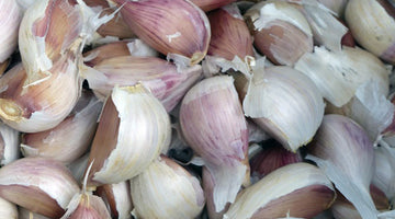 How to get the most health benefits from your garlic