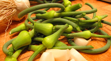 Green garlic and scapes risotto