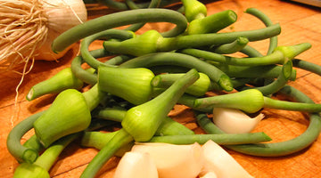 4 Ways to Save Your Garlic and Never Throw Any Away