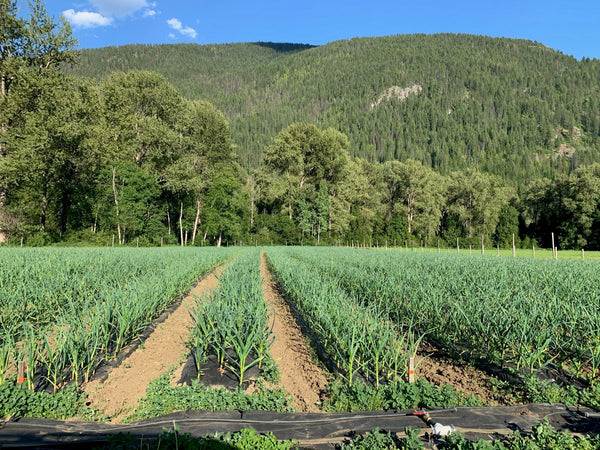 Employment Opportunities - FARM MANAGER