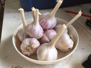 Storing Garlic in Wine or Vinegar and Refrigerating