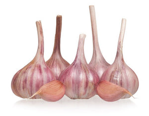 Storing Garlic