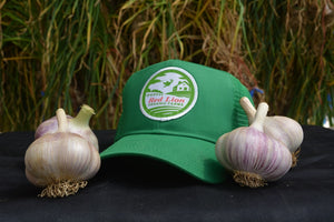 August Farm Update