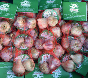 Organic Culinary Garlic