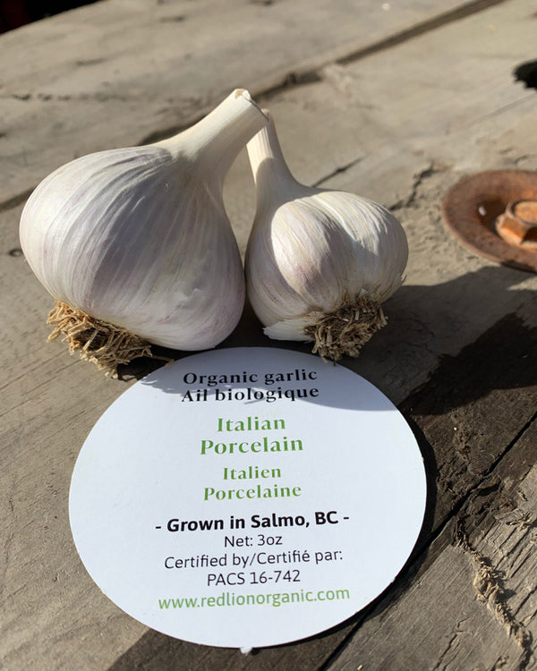 Culinary Italian Porcelain Organic Garlic 1lb