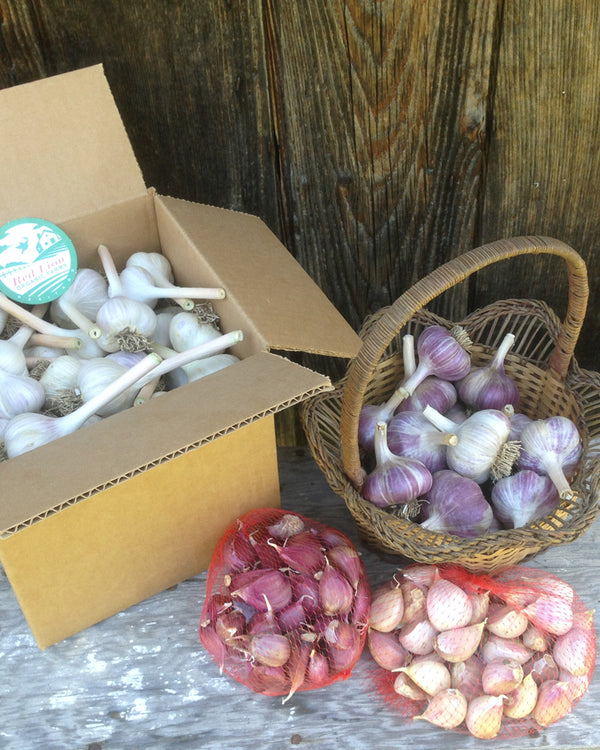 Pre-Cracked CULINARY Organic Garlic All Varieties 1lb